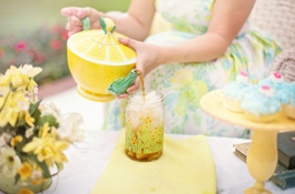 Ambito applicazione cibo e bevande - Nuova Estrazione